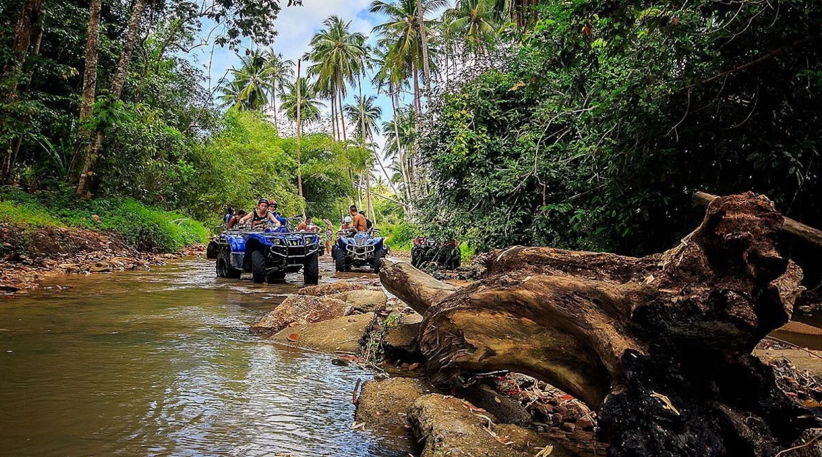 Quad bikes crossing a shallow jungle river under coconut palms on Koh Samui