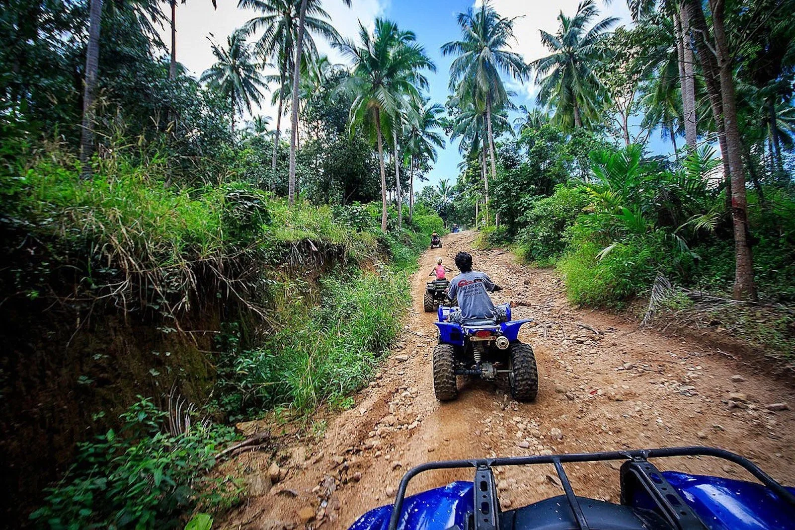 A Samui Quad Motor quad bike on an off-road trail through rubber plantation