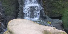 Guest photo from review