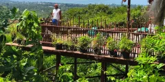 Guest photo from review