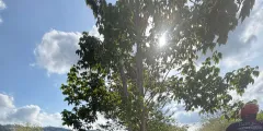 Guest photo from review